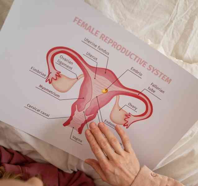 gynecological cancer | laparoscopic hysterectomy in ahmednagar